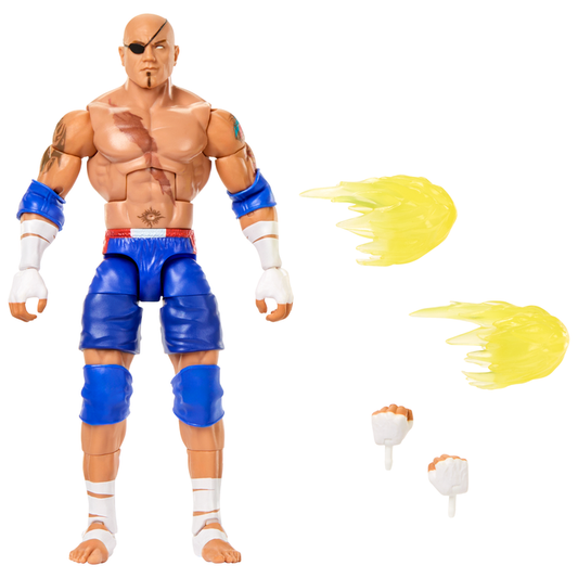 Batista As Sagat - Wwe X Street Fighter Elite Collection Series 2