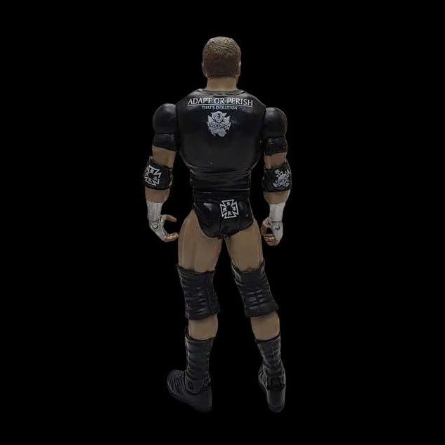 Triple H Wwe Basic Series Superstar Entrances 2015 Loose