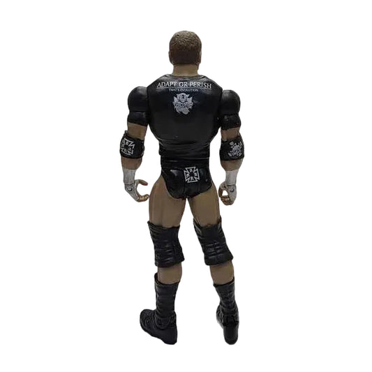 Triple H Wwe Basic Series Superstar Entrances 2015 Loose