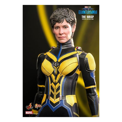 Ant-Man And The Wasp: Quantumania – The Wasp 1:6 Scale Colle...