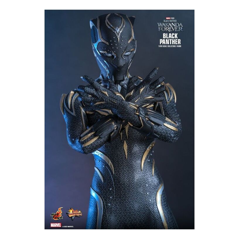 Black Panther 2: Wakanda Forever – Black Panther 1:6 Scale Collectable Fig