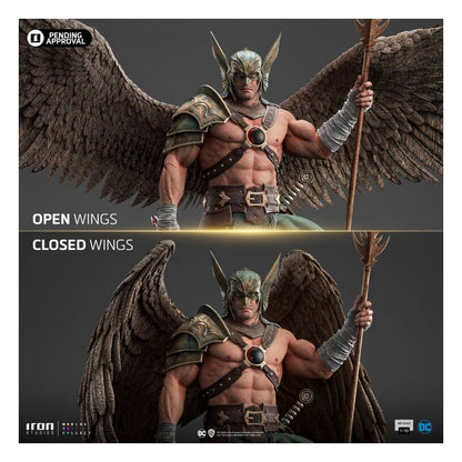 Dc Comics – Hawkman 10Th Anniversary 1:10 Scale Statue