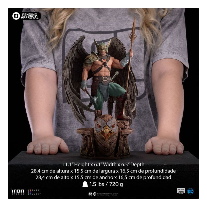 Dc Comics – Hawkman 10Th Anniversary 1:10 Scale Statue