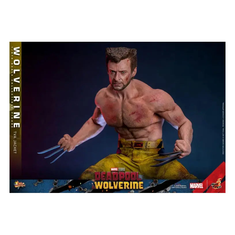Deadpool & Wolverine – Wolverine (Tva Jacket) 1:6 Scale Figure
