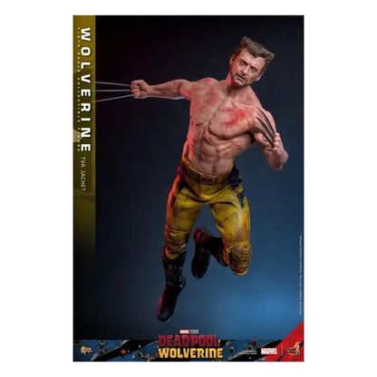 Deadpool & Wolverine – Wolverine (Tva Jacket) 1:6 Scale Figure