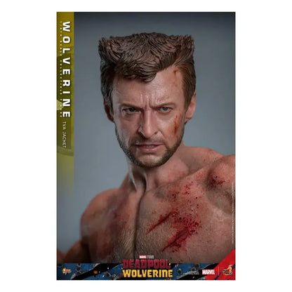 Deadpool & Wolverine – Wolverine (Tva Jacket) 1:6 Scale Figure