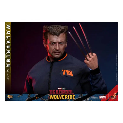 Deadpool & Wolverine – Wolverine (Tva Jacket) 1:6 Scale Figure