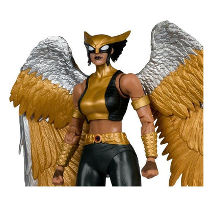 Hawkgirl (Kendra Saunders) Dc Comics Collector Edition 7" Figure