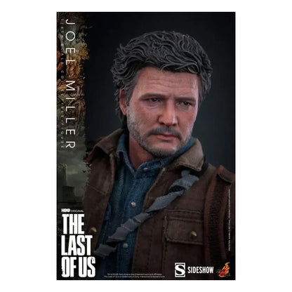 Joel Miller Last Of Us Tv 1:6 Collectable Action Figure