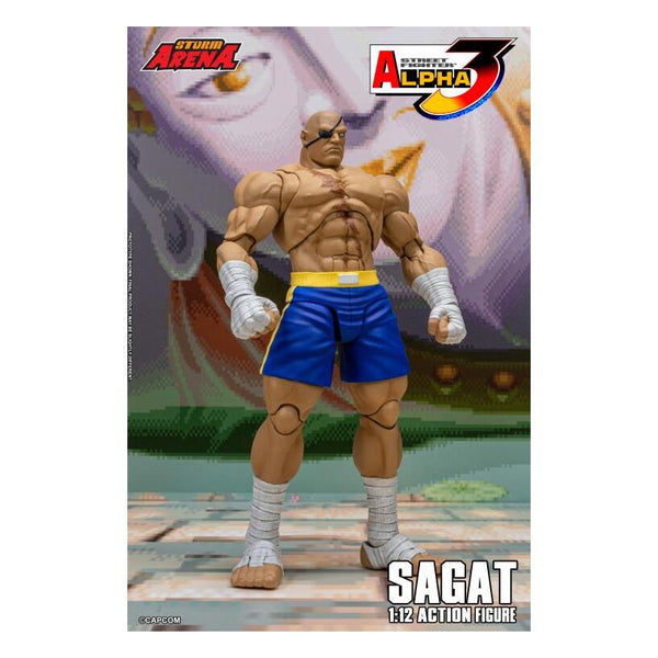 Sagat 1/12 Scale Street Fighter Alpha 3 Storm Arena