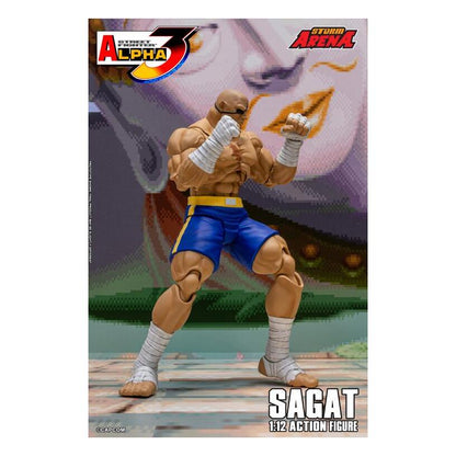 Sagat 1/12 Scale Street Fighter Alpha 3 Storm Arena