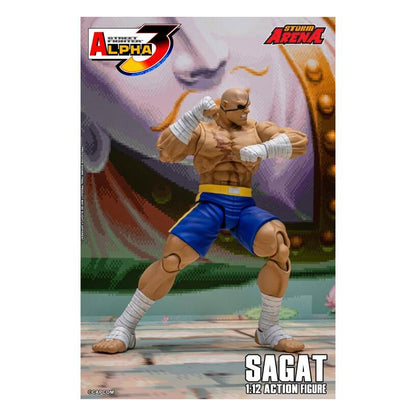 Sagat 1/12 Scale Street Fighter Alpha 3 Storm Arena