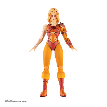 Thundercats - Cheetara 1/6 Scale Figure - Limited Edition