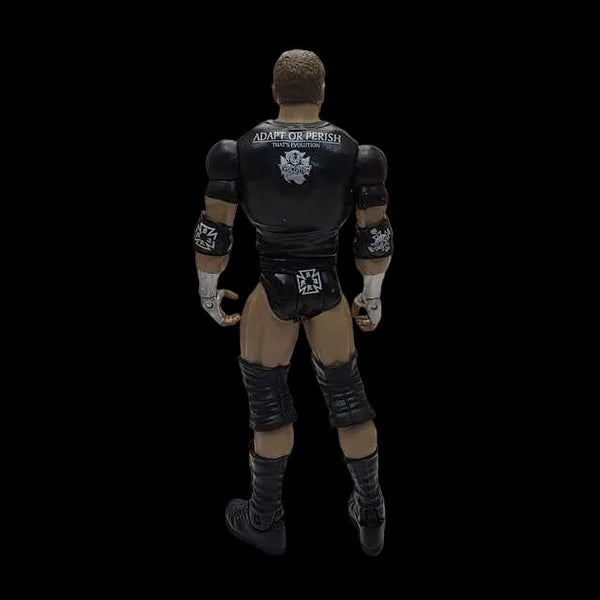 Triple H Wwe Basic Series Superstar Entrances 2015 Loose