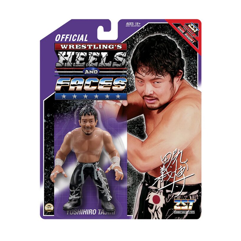 Yoshihiro Tajiri Wrestling Heels & Faces S4 4.5-Inch Action Figure