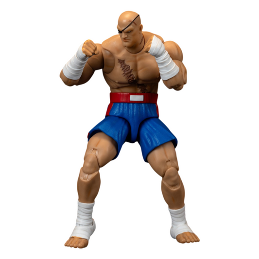 Ultra Street Fighter II Sagat Deluxe 6-Inch Scale Figure